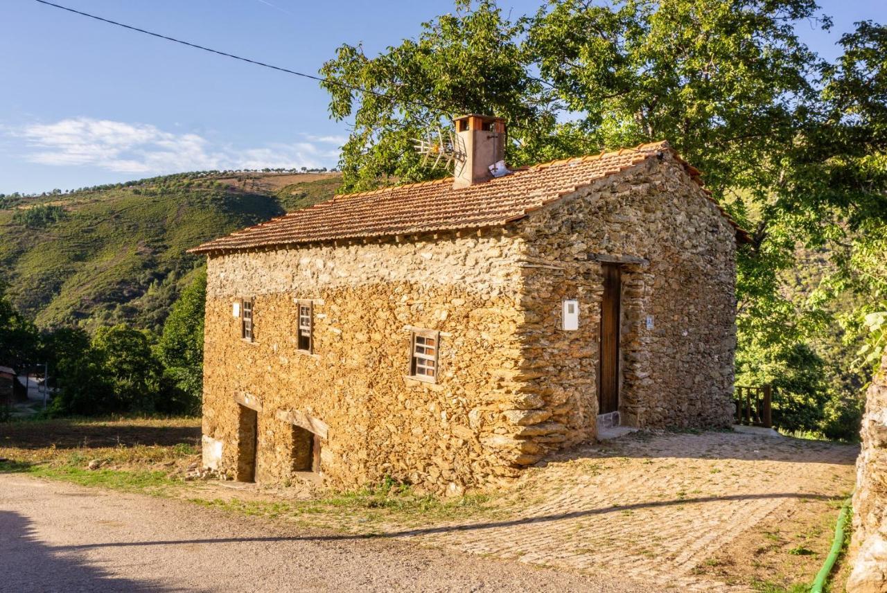Casa Da Corrica - Alojamento Local Negreda Exterior foto